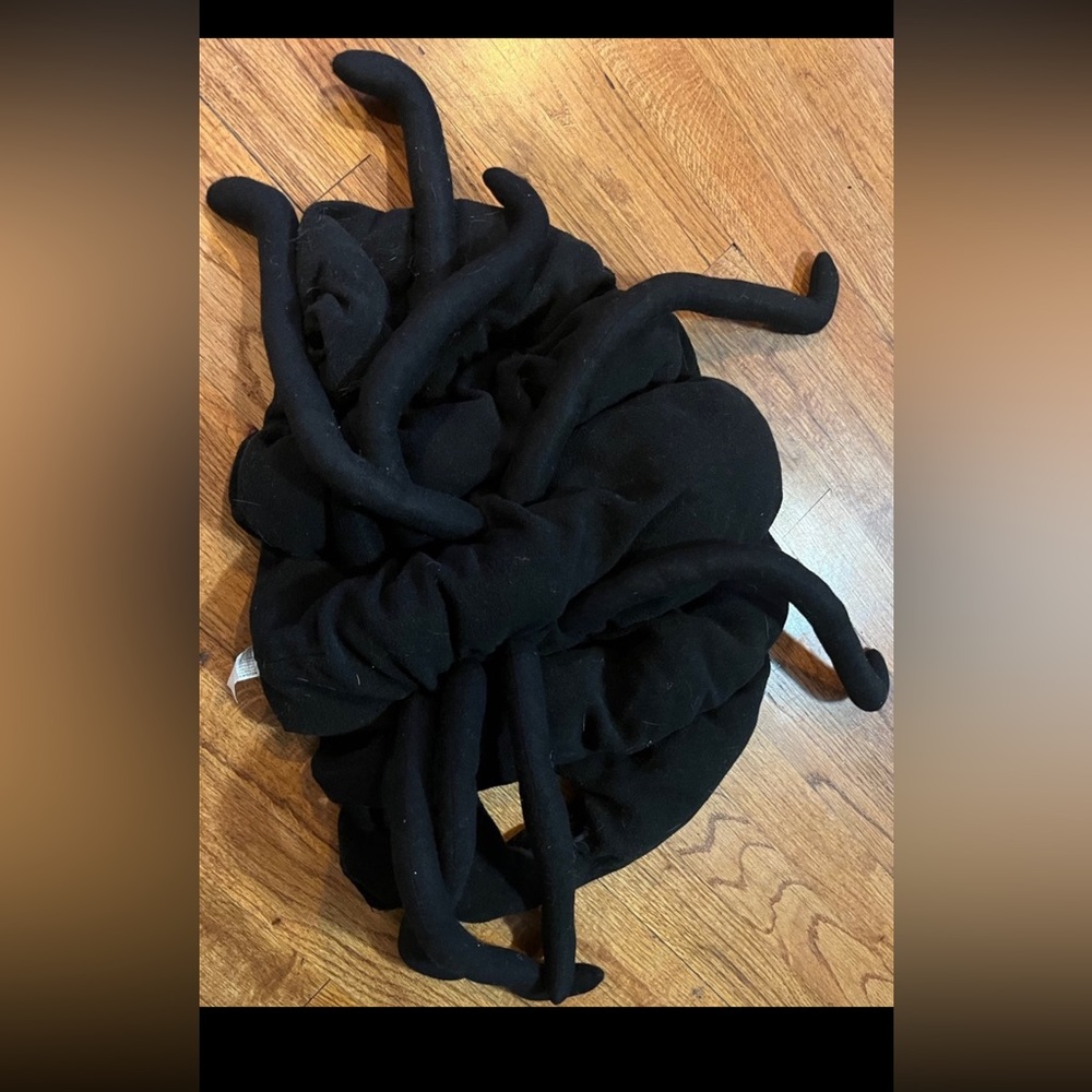 Black spider costume for small dog see pictures